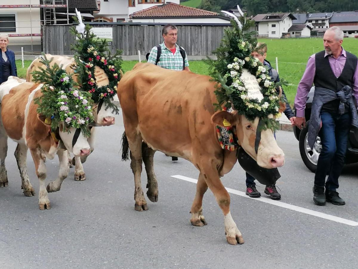 Appart Gruber Zell am Ziller Εξωτερικό φωτογραφία